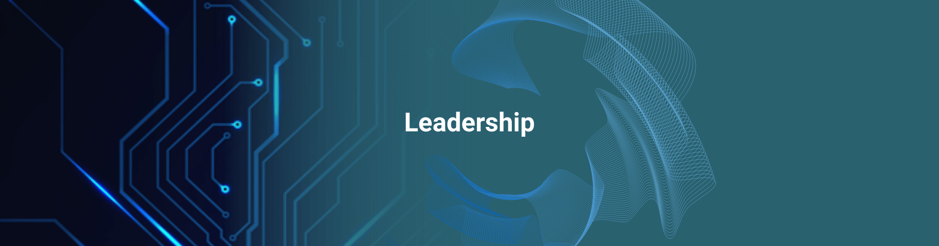 Leadership Landing graphic (1)